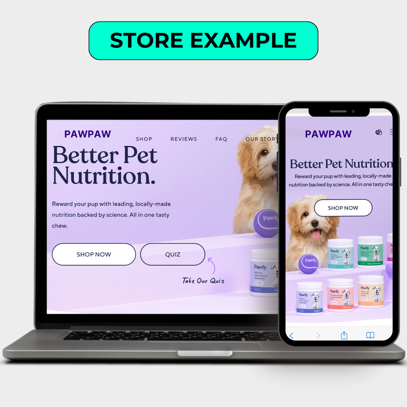 Custom Shopify Brand
